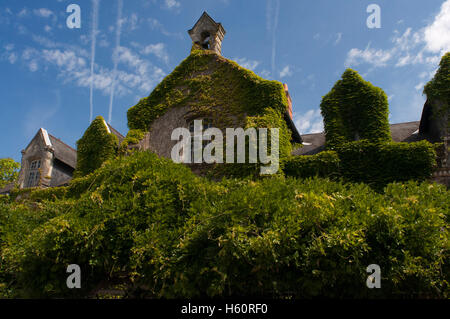 Ein Haus fast vollständig bedeckt durch eine Rebe in Azay le Rideau, Indre et Loire, Touraine Loire-Tal, Frankreich, Europa Stockfoto