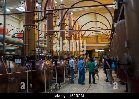 Im Inneren der Cointreau Fabrik, Angers, Loiretal, Frankreich. Diese Fabrik zu destillieren 30 Millionen Flaschen dieses orange aromatisierter lique Stockfoto