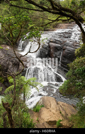 Bakers fällt, Horton Plains Nationalpark, Sri Lanka Stockfoto