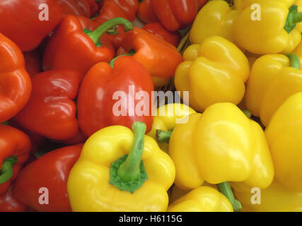 Haufen von reifen roten und gelben Bell peppers Stockfoto