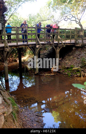 Menschen, die Spiel pooh Stöcke an der berühmten Pooh-Brücke im Herzen von Ashdown Forest Sussex UK Stockfoto