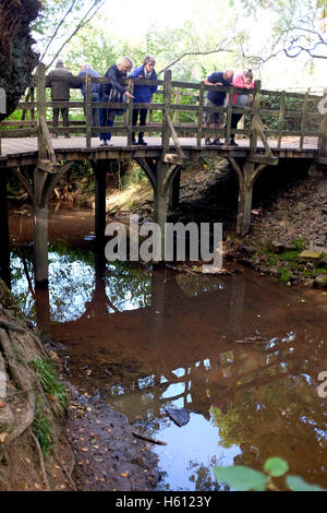 Menschen, die Spiel pooh Stöcke an der berühmten Pooh-Brücke im Herzen von Ashdown Forest Sussex UK Stockfoto