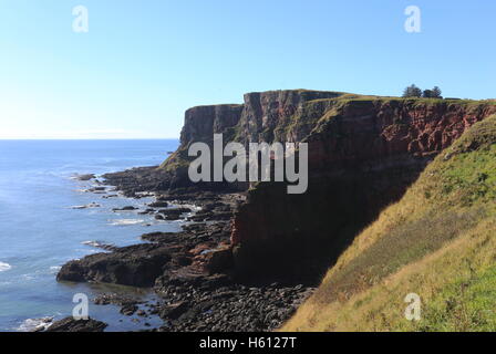 Küste zwischen lunan Bucht und auchmithie Angus Schottland Oktober 2016 Stockfoto