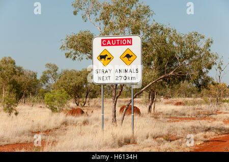 Streunende Tiere Straßenschild - Australien Stockfoto