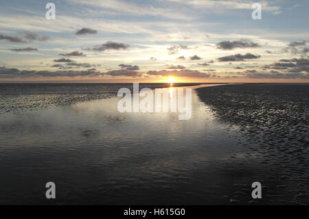 Gelbe Sonnenuntergang unter grauen Stratocumulus Wolken reflektiert in weite Meer Kanal Kreuzung Strandsand Wasserfläche, Fairhaven, UK Stockfoto