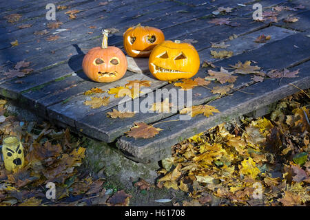 Halloween-Konzept. In Nacht gealtert drei schrecklich hässlich Kürbisse auf ein Holz Boden mit Ahornblättern. Stockfoto