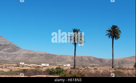 Fuerteventura, Kanarische Inseln, Nordafrika: Blick auf die Wüste Landschaft mit Palmen, weiße Häuser und ein Land, das wie der Planet Mars Stockfoto