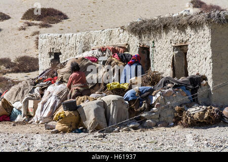 Tibetische Pilger im Kloster Seralung. Tibet, China. Stockfoto