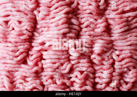 Koch-Konzept. Hackfleisch / Faschiertes Closeup Hintergrund Stockfoto