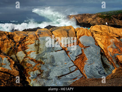 Bunten Sandsteinfelsen und Wellen. Point Lobos State Reserve. California Stockfoto