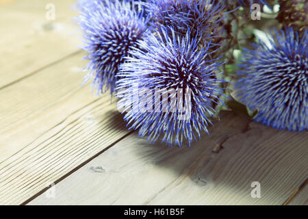 Porträt von Artischocke Blumenstrauß mit pollen Stockfoto