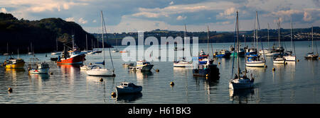 GB - DEVON: Outer Harbour in Brixham mit der Elberry Bucht Miesmuschelbänke im Hintergrund Stockfoto