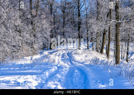 Winterlandschaft mit einer Straße in den Wald, die Markierungen der Räder im Schnee. Stockfoto