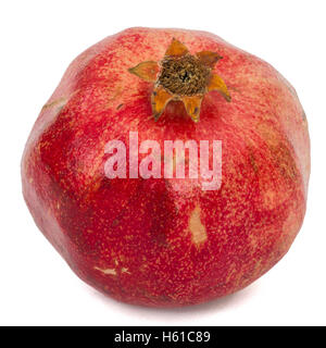 Reife Granatapfel, isoliert auf weißem Hintergrund Stockfoto