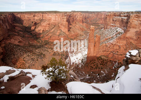 Spider Rock am Zusammenfluss der Canyon de Chelly und Monument Canyon, Canyon de Chelly National Monument, Arizona Stockfoto