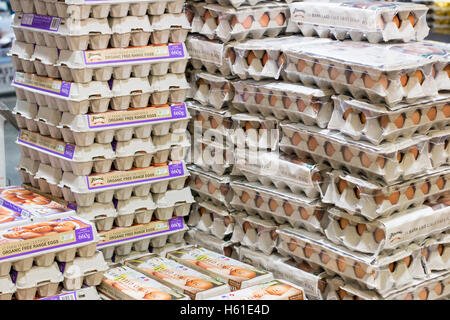 Bio Käfig frei Eiern auf Verkauf in Harris Farm Märkte Supermarkt Laden Geschäft in Manly Beach, Sydney, Australien Stockfoto