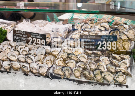 Austern zum Verkauf, Sydney Fishmongers Store in Manly Beach, Sydney, Australien, mit pazifik- und Sarg Bay-Austern in Tabletts Stockfoto