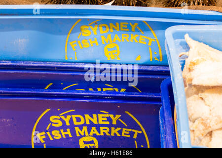 Sydney-Fischhändler-Store in Manly Beach, Sydney, Australien Stockfoto