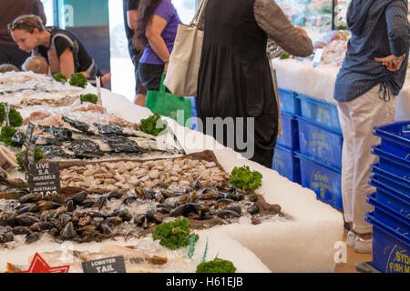 Sydney-Fischhändler-Store in Manly Beach, Sydney, Australien mit lebenden Muscheln auf dem display Stockfoto