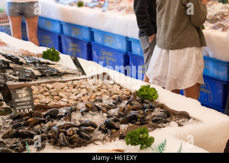 Sydney-Fischhändler-Store in Manly Beach, Sydney, Australien mit lebenden Muscheln zum Verkauf Stockfoto