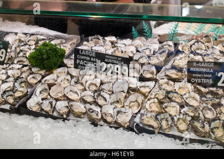 Sydney Fischhändler laden in Manly Beach, Sydney, Australien mit coffin Bay und Pazifische Austern zum Verkauf Stockfoto