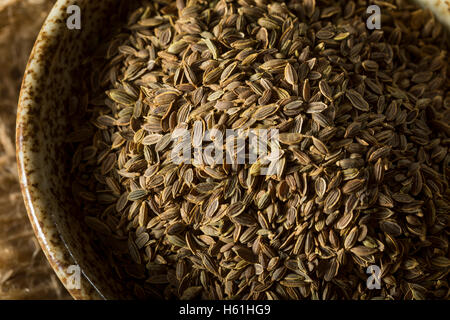Rohe Bio Dill Samen in eine Schüssel geben Stockfoto