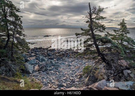 KLEINE JÄGER STRAND ACADIA NATIONAL PARK MOUNT DESERT ISLAND MAINE USA Stockfoto