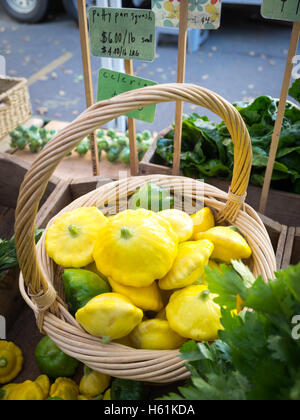 Pattypan Kürbisse zum Verkauf an die Stadt vermarkten (104 Street Market) in Edmonton, Alberta, Kanada. Stockfoto