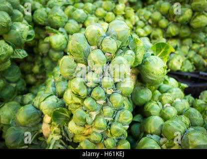 Rosenkohl zum Verkauf an die Stadt vermarkten (104 Street Market) in Edmonton, Alberta, Kanada. Stockfoto