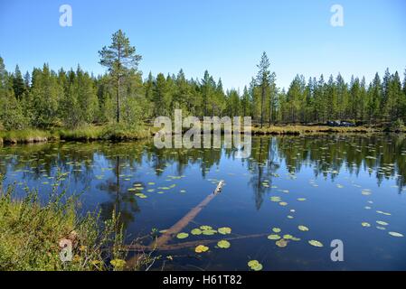 See in der Nähe von Börtnan, Ljungdalen, Jämtland, Schweden Stockfoto