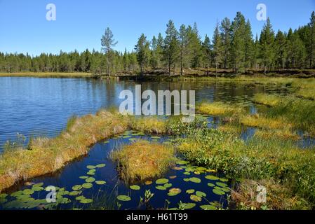 See in der Nähe von Börtnan, Ljungdalen, Jämtland, Schweden Stockfoto