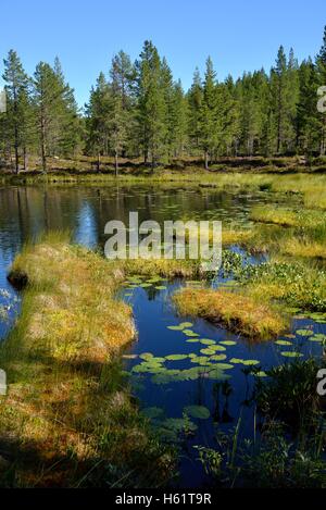 See in der Nähe von Börtnan, Ljungdalen, Jämtland, Schweden Stockfoto