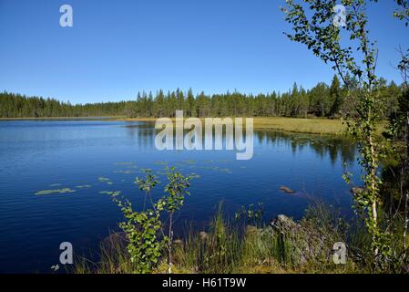 See in der Nähe von Börtnan, Ljungdalen, Jämtland, Schweden Stockfoto