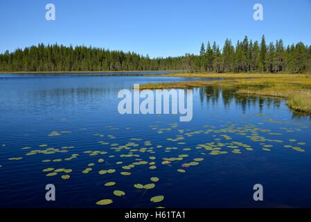 See in der Nähe von Börtnan, Ljungdalen, Jämtland, Schweden Stockfoto