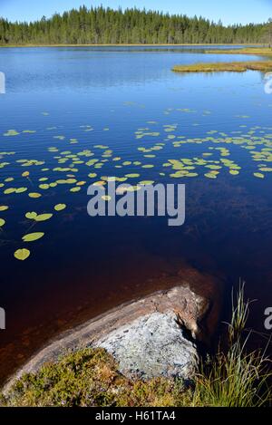 See in der Nähe von Börtnan, Ljungdalen, Jämtland, Schweden Stockfoto