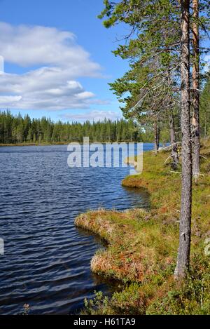 See in der Nähe von Börtnan, Ljungdalen, Jämtland, Schweden Stockfoto