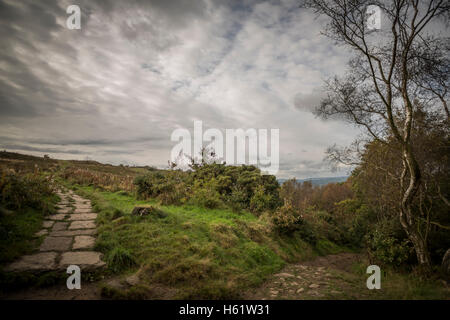 Schöne Aussicht auf Otley, die berühmten Otley Chevin entnommen Stockfoto