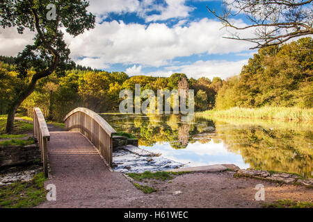 Cannop Teiche im Wald des Dekans, Gloucestershire. Stockfoto