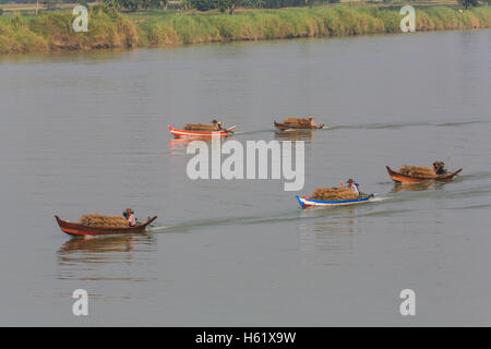 Fünf Fischer und ihre Boote mit Fischen fallen Richtung flussaufwärts auf dem Irrawaddy in Myanmar (Burma) gefüllt. Stockfoto