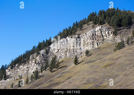 Ausläufer der Rocky Mountains, Sedimentgesteinsgestein, Alberta, Kanada Stockfoto