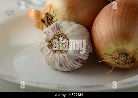 Zwei Zwiebeln und Knoblauch Kopf auf einem Teller Stockfoto