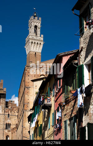 Die berühmten Torre del Mangia, von der Piazza del Mercato, hinter dem Palazzo Pubblico, Siena, Toskana, Italien Stockfoto