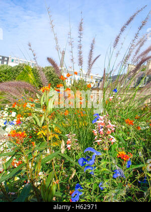 schöne Wildblumen im Garten von Paris mit Eiffelturm im Hintergrund Stockfoto