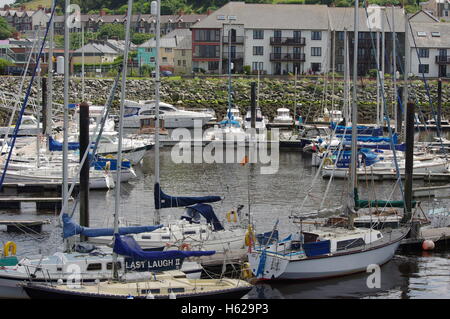 Blick auf die Boote im Hafen von Aberystwyth / Marina zugewandten Y Lanfa, Trefechen. Stockfoto