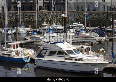 Blick auf die Boote im Hafen von Aberystwyth / Marina zugewandten Y Lanfa, Trefechen. Stockfoto