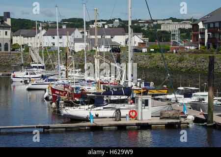 Blick auf die Boote Aberystwyth Hafen / Marina in Richtung Y Lanfa, Trefechen. Stockfoto