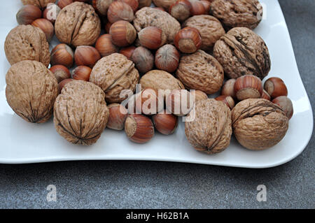 Walnüsse und Haselnüsse Herbst Stockfoto