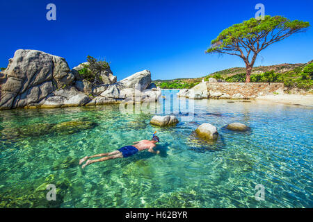 Junger attraktiver Mann Schnorcheln in grüne Lagune in der Nähe von berühmten Kiefer auf Palombaggia Strand im südlichen Teil von Korsika, Frankreich Stockfoto