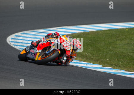 Phillip Island, Australien. 23. Oktober 2016. MotoGP. Warm Up. Marc Marquez, Repsol Honda MotoGP-Team. Bildnachweis: Russell Hunter/Alamy Live-Nachrichten Stockfoto