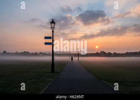 London, UK. 23. Oktober 2016. Nebligen Sonnenaufgang über Blackheath, Süd-Ost-London. Bildnachweis: Claire Doherty/Alamy Live News Stockfoto